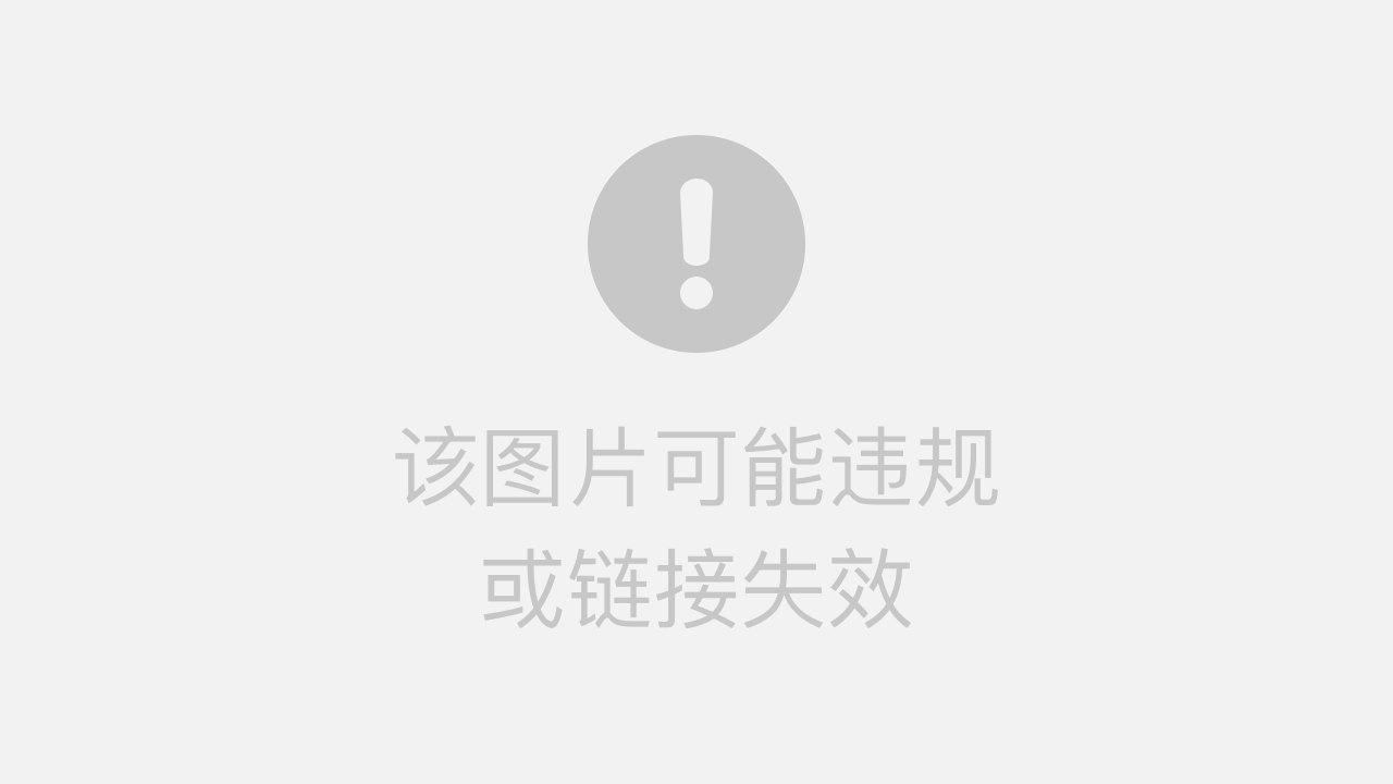 协议设置面板示意图，展示简洁的连接选项和开关